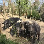 San Leone 渥尔特拉