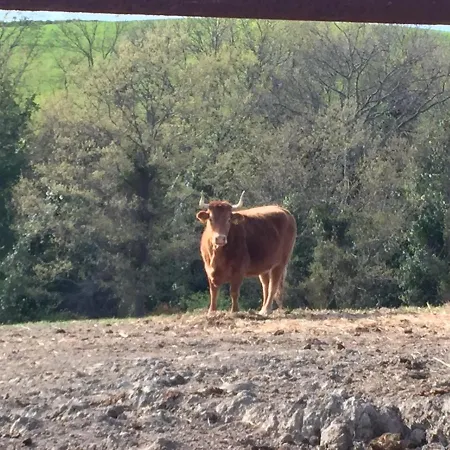 San Leone Alojamento de Turismo Rural Volterra